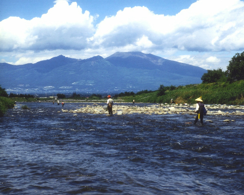 千曲川でアユ釣りをしている人たちの写真