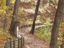 紅葉に染まる、平尾の森、ファーブルの小径の写真3