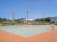 駒場公園テニスコート画像