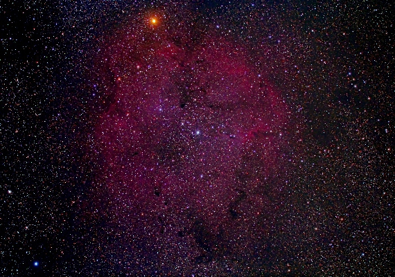 散光星雲　IC1396の画像です。