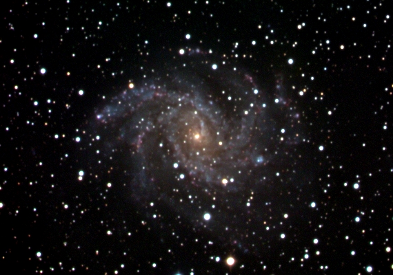 銀河　NGC6946の画像です。
