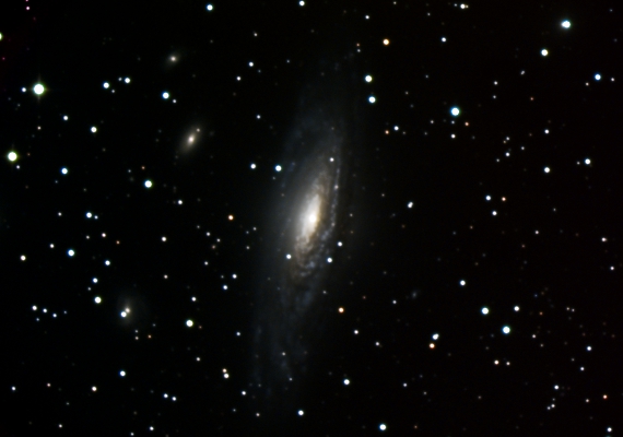 銀河　NGC7331の画像です。