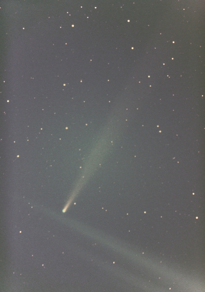ブラッドフィールド彗星の画像です。