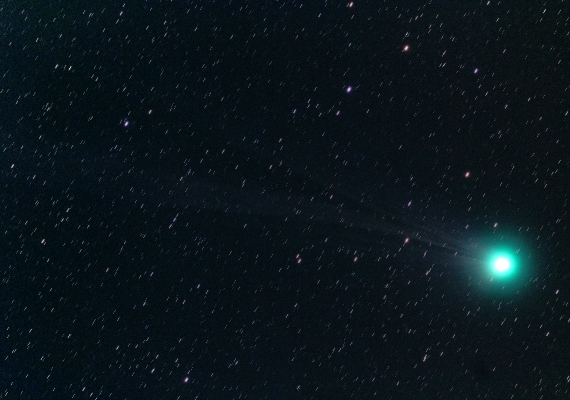 ラブジョイ彗星(C2014Q2)の画像です。