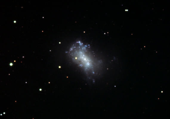 銀河NGC4449の画像です。