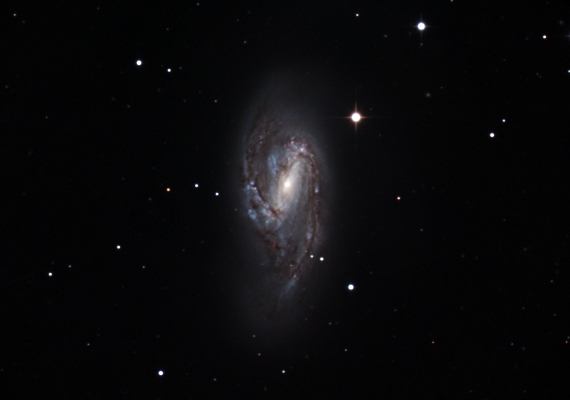 銀河　M66の画像です。