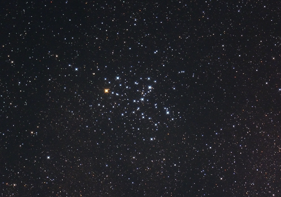 散開星団M6の画像です。