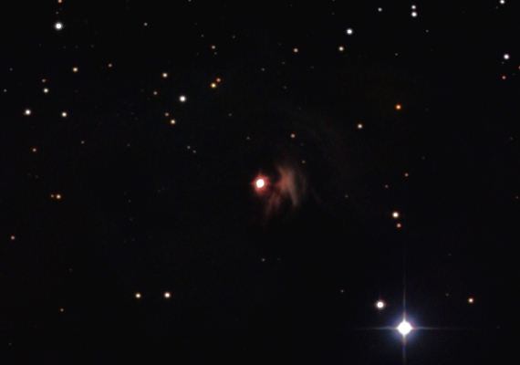 NGC1555の画像