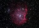 モンキーフェイス星雲(NGC2174)の画像へ
