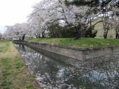 南の角の写真です。