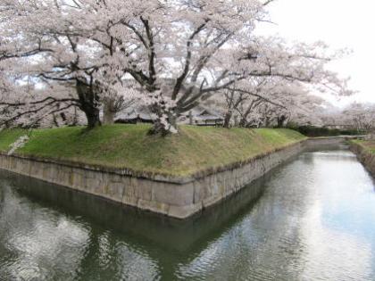 北の角の写真です。