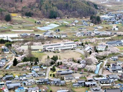 田口城跡から見た龍岡城跡