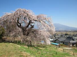 4月8日全体