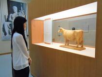 展示の様子（ホルスタイン石膏像）