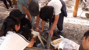 ランチ作りをしている写真