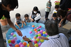 水風船の写真