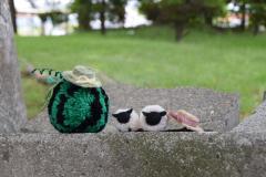 麻糸を作った帽子をポンポン人形に乗せている写真