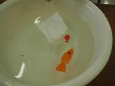 水に浮かべた魚を手作りのポイですくっている様子1