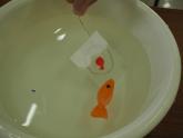 水に浮かべた魚を手作りのポイですくっている様子2