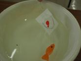 水に浮かべた魚を手作りのポイですくっている様子3