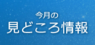 今月の見どころ情報