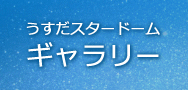 うすだスタードームギャラリー