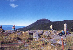 双子山