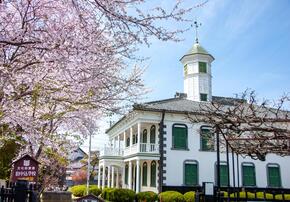 旧中込学校と桜