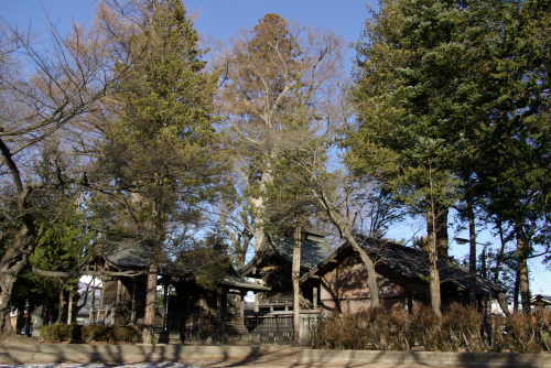 若宮神社の境内