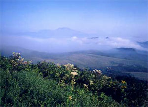 物見山