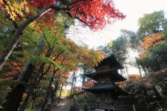 紅葉に彩られた三重塔の写真
