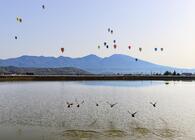 自然豊かな中を飛行する熱気球