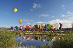 多くの熱気球が空へ飛び立つ様子の写真