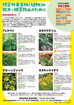 チラシの写真