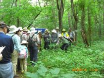 植物観察会の様子