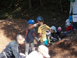 幼虫を取ることができました！　写真