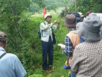 植物観察会の様子