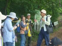 植物観察会の様子