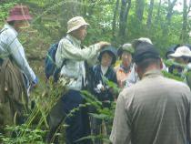 植物観察会の様子
