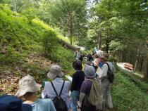 観察会の様子（2）