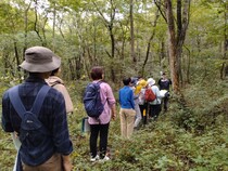 観察会の様子（1）　写真