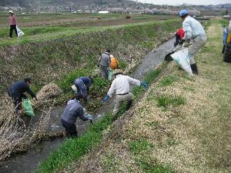 河川のごみ拾い作業中の写真