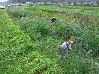 河川の草刈り中の写真