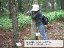 木に体を寄せ、木のぬくもりを感じている様子の写真2