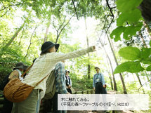 木に触れている様子の写真
