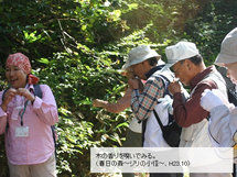 木の香りを嗅いでいる様子の写真