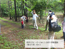 森林セラピーロードに入る前の準備運動する様子の写真