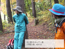 木に寄りかかって一息つく様子の写真