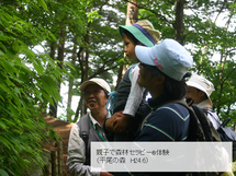 親子で森林セラピーを体験する様子の写真