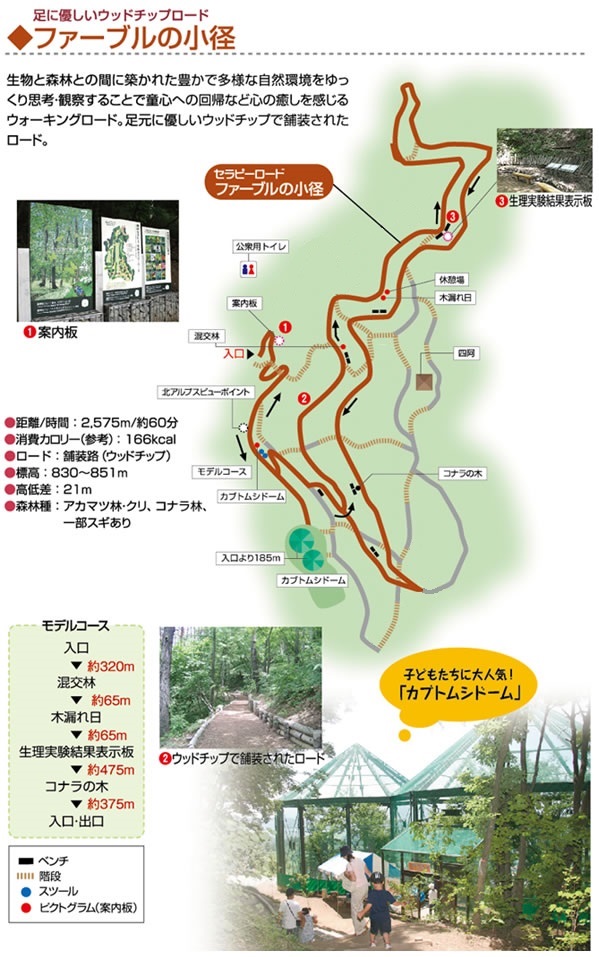 ファーブルの小径